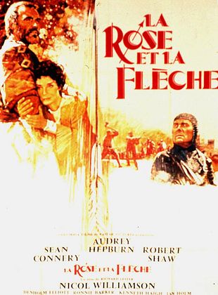 poster du film Bande-annonce La Rose et la Flèche