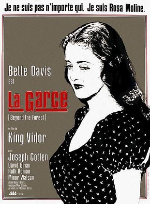 poster du film La Garce
